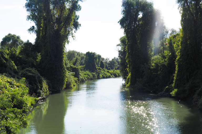 Donaudelta – Foto: Ingrid RIEDLER