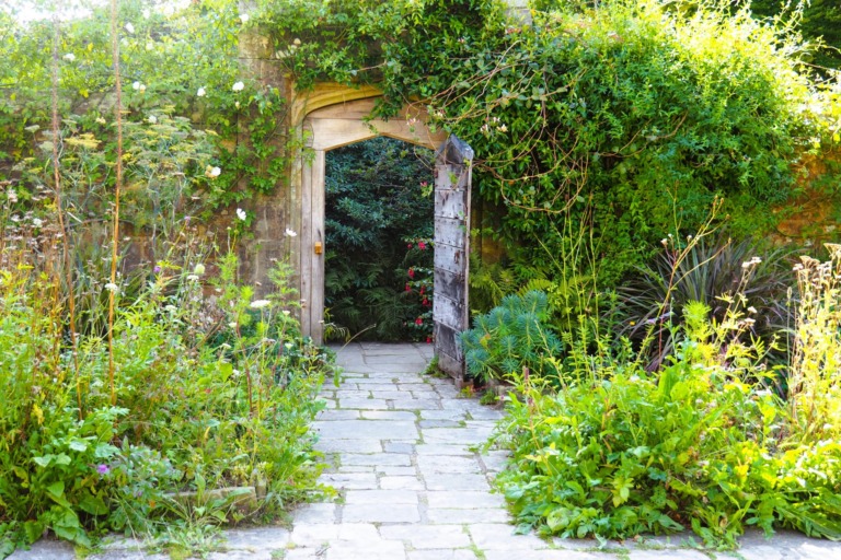 Nymans garden, England – Foto: Ingrid RIEDLER