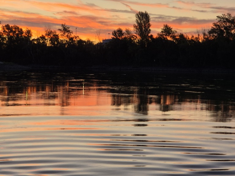 Donau bei Budapest – Foto: Ingrid RIEDLER