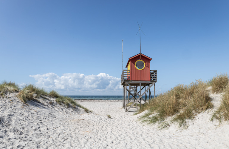 Sweden instead of Malibu – Foto: Nicole Heiglauer