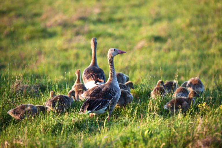 Familienausflug