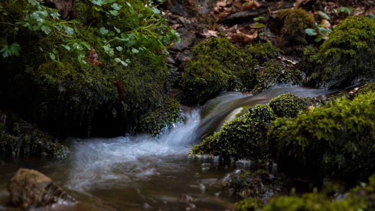 Kleine-Wasserlaeufe-im-Aschachtal