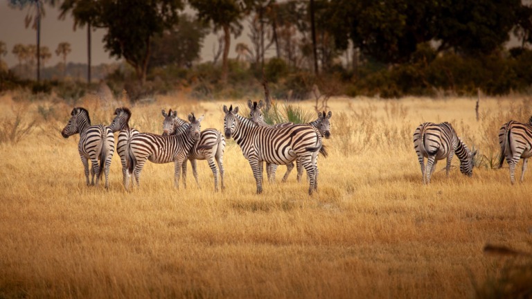 Namibia