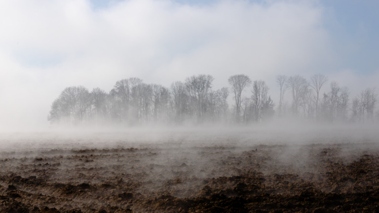Nebel