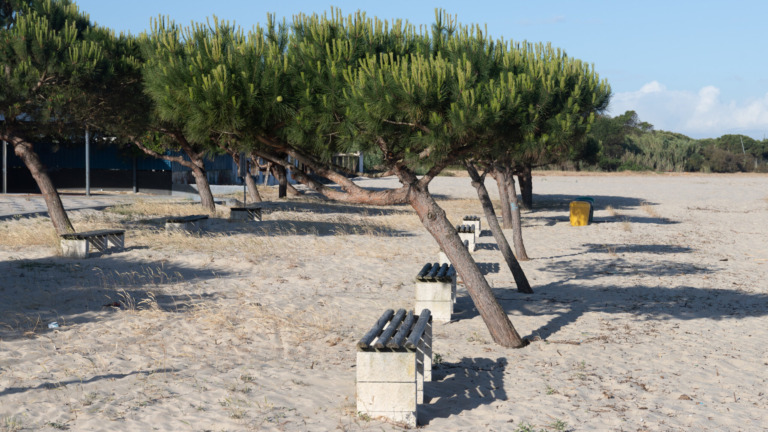 Spuren des Windes